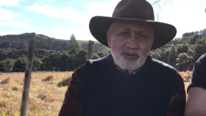 Tribunal Hearing - Week 25 - Otangaroa Marae