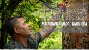 Tohe Ashby - Kauri Ora