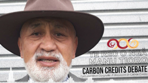 Rihari Dargaville - Carbon Credits Debate