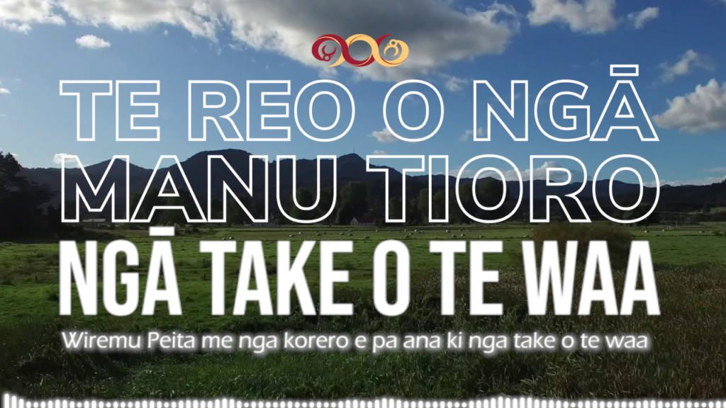 Wiremu Peita - Nga Take O Te Waa