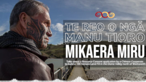 Mikaera Miru - Resource Consent