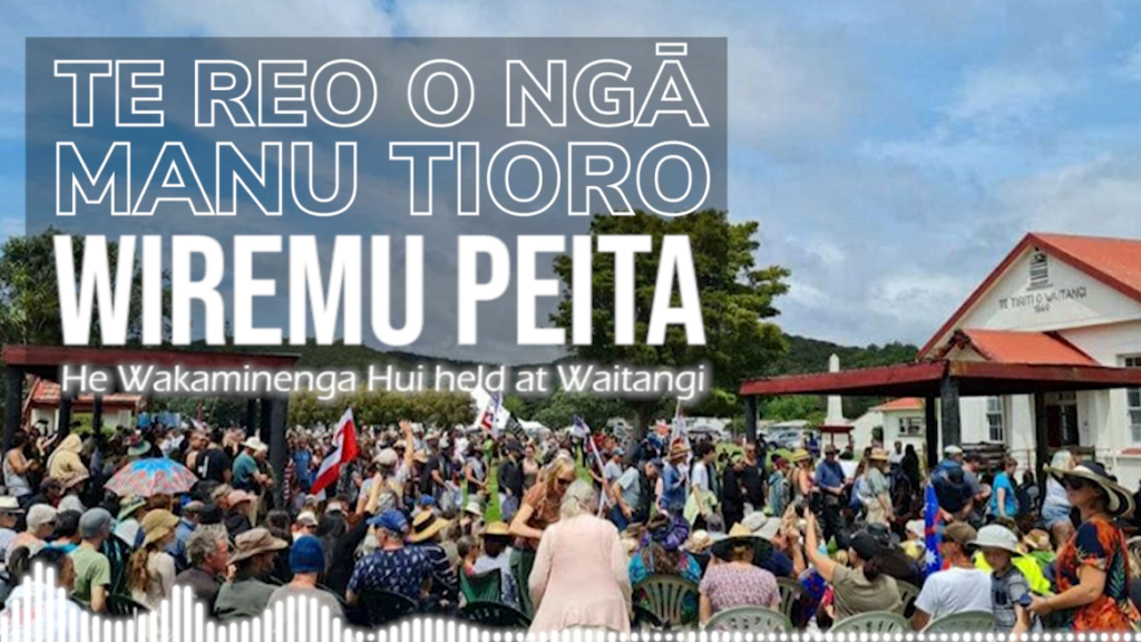 Wiremu Peita - Wakaminenga Hui