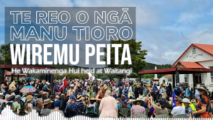 Wiremu Peita - Wakaminenga Hui