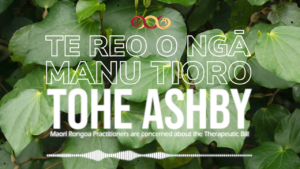 Tohe Ashby - Rongoa Maori