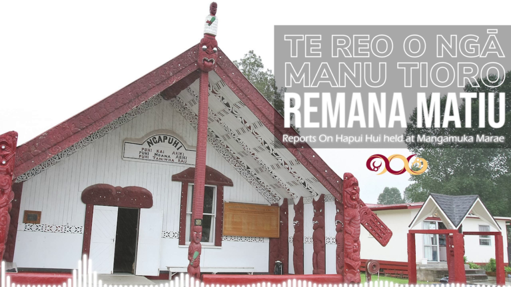 Remana Matiu - Hapu Hui Report