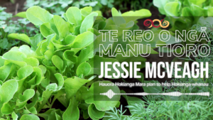 Jessie McVeagh - Hauora Mara Plan