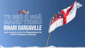 Rihari Dargaville - He Wakaputanga Hui