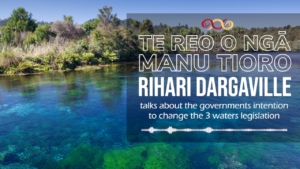 Rihari Dargaville - 3 Waters